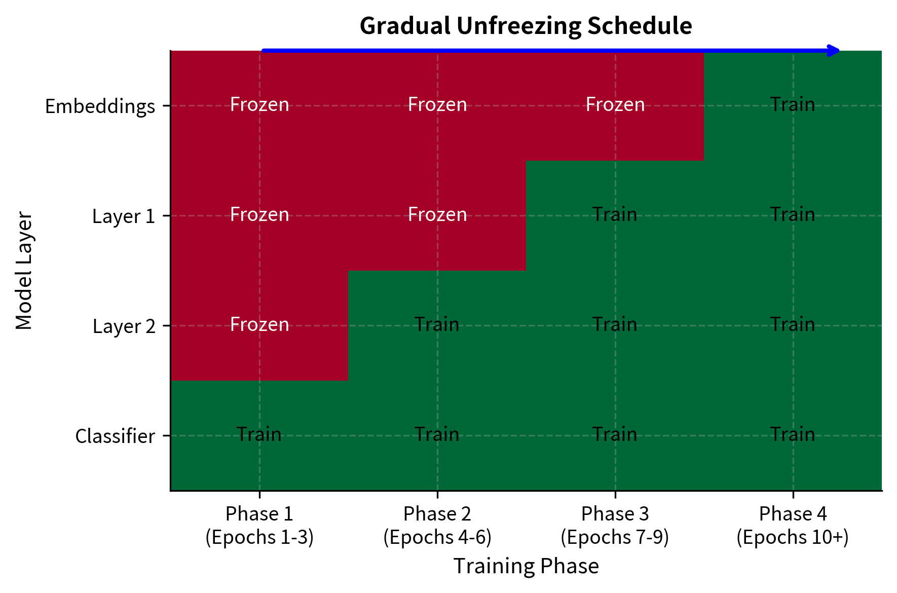 Timeline diagram showing progressive unfreezing of model layers during fine-tuning epochs.