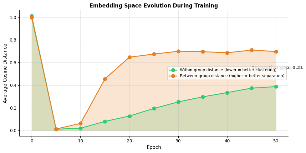 Line plot showing decreasing within-group distance and increasing between-group distance over training epochs.