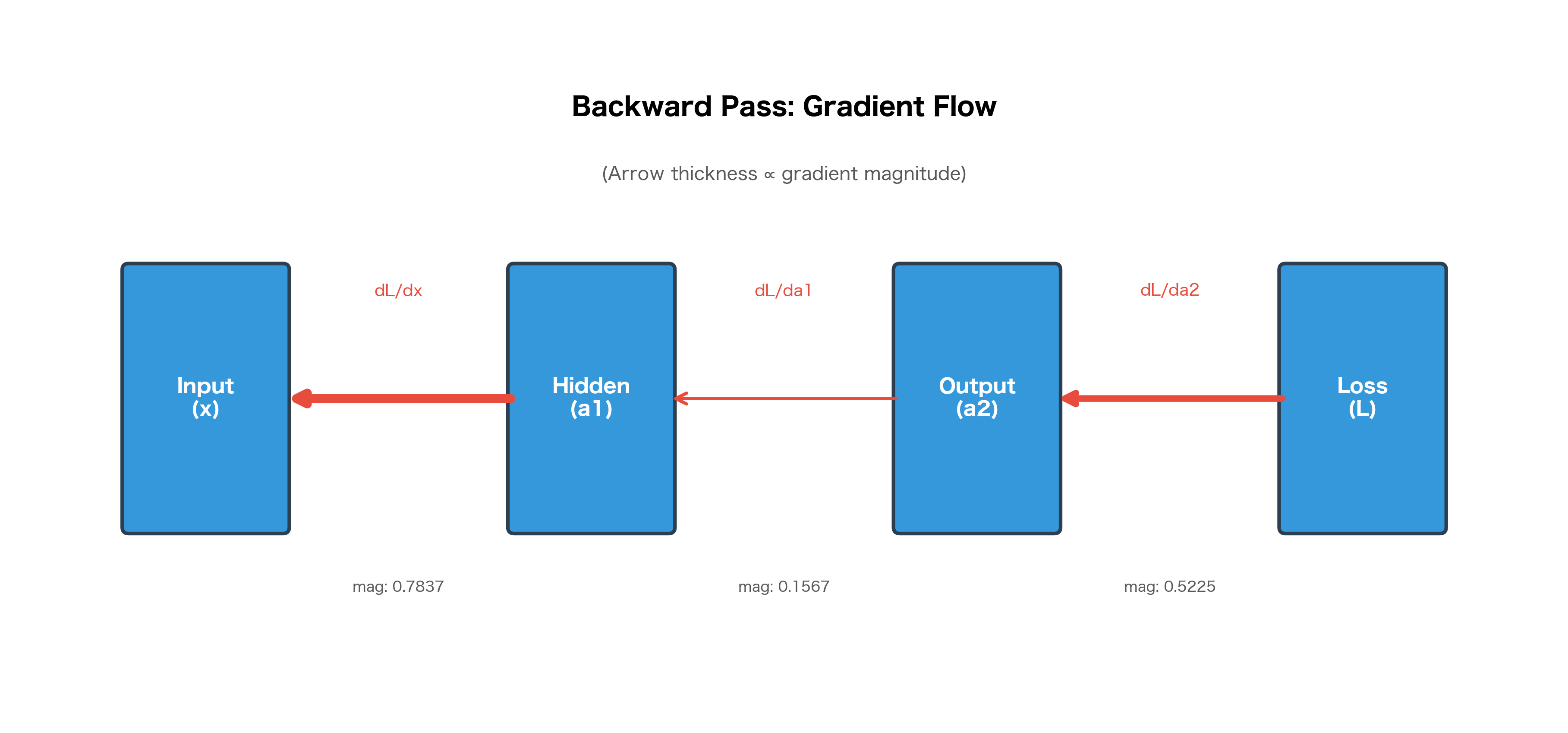 Diagram showing gradient magnitudes flowing backward through network layers with varying arrow thicknesses.