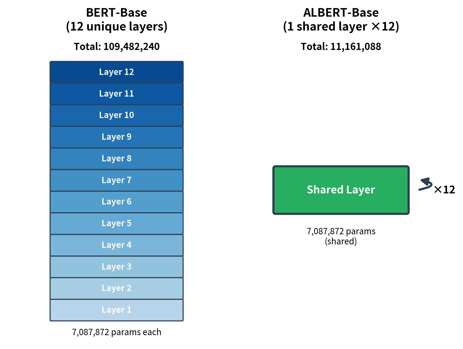 Side-by-side comparison showing BERT with 12 unique layers versus ALBERT with 1 shared layer applied 12 times.