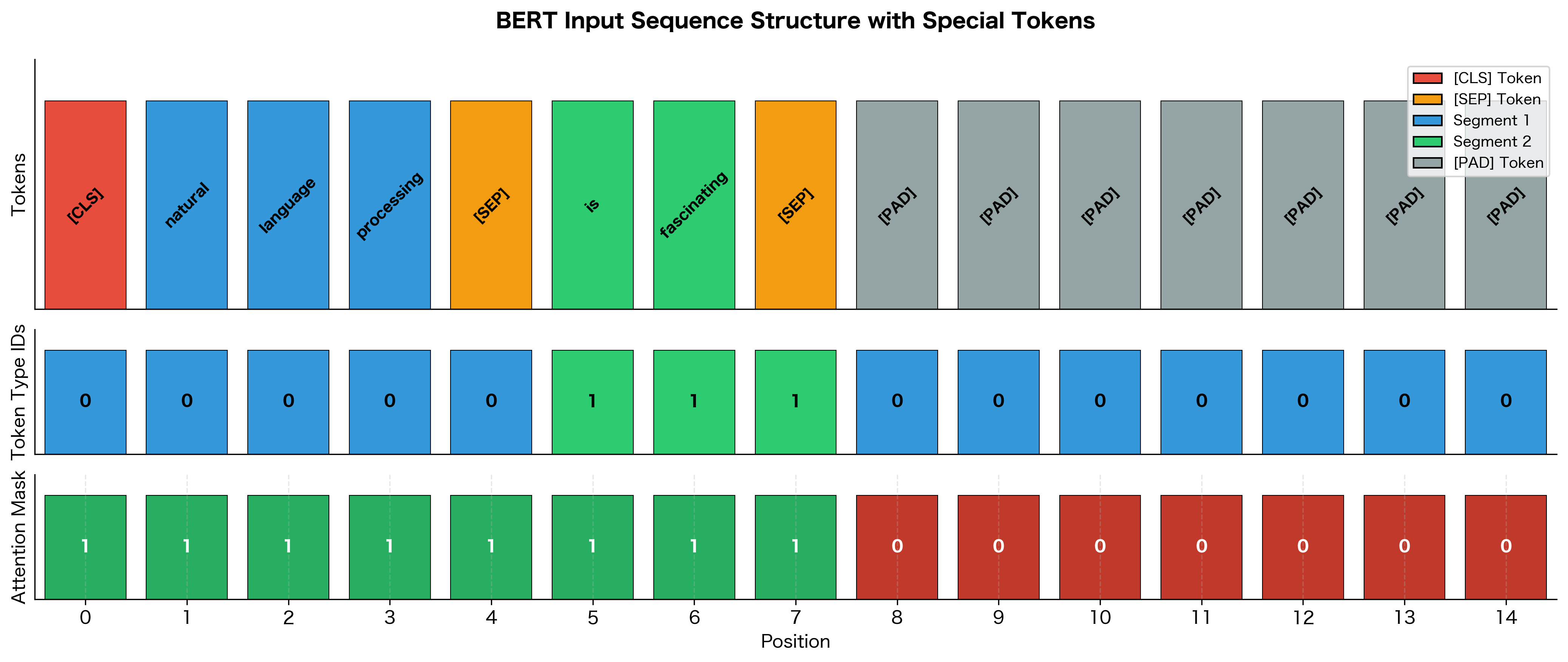 Horizontal bar chart showing token positions with colors indicating special tokens, segment 1 tokens, segment 2 tokens, and padding.
