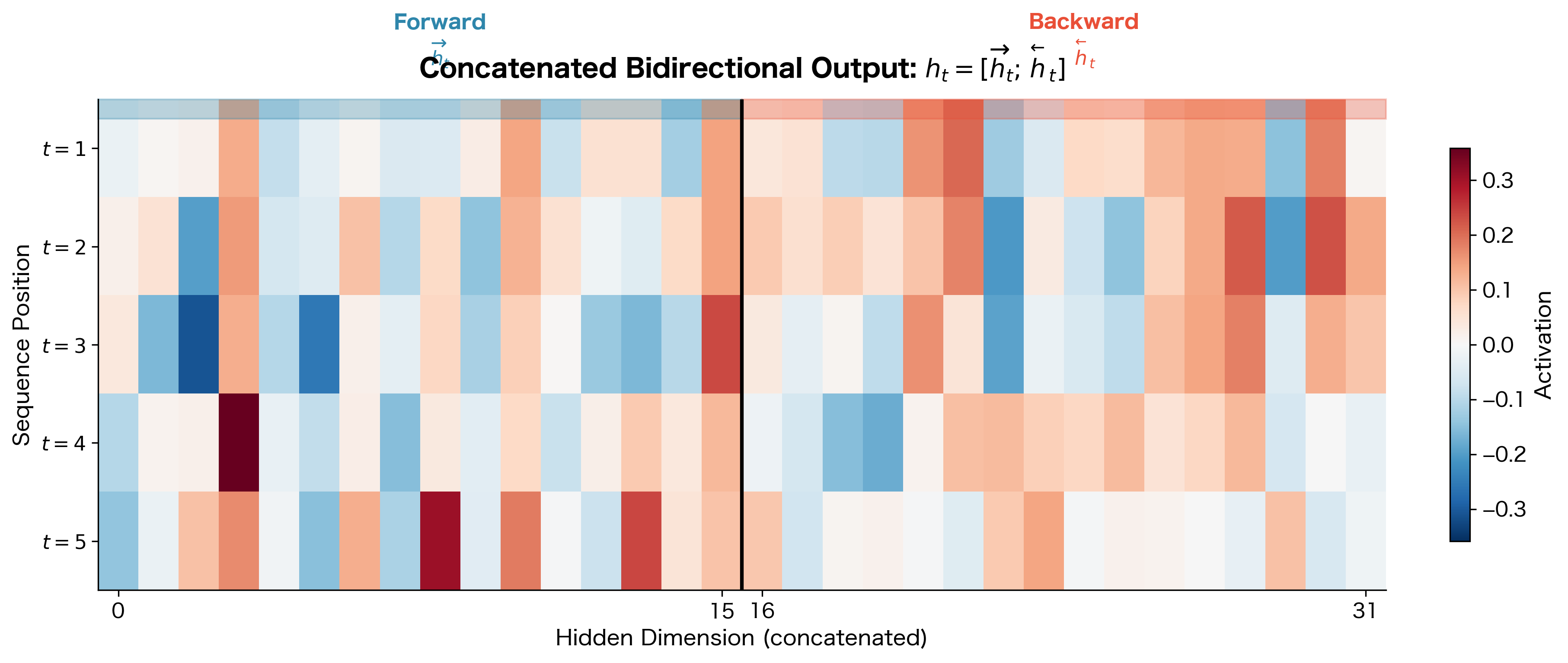 Heatmap showing the concatenated bidirectional output with forward and backward components side by side.