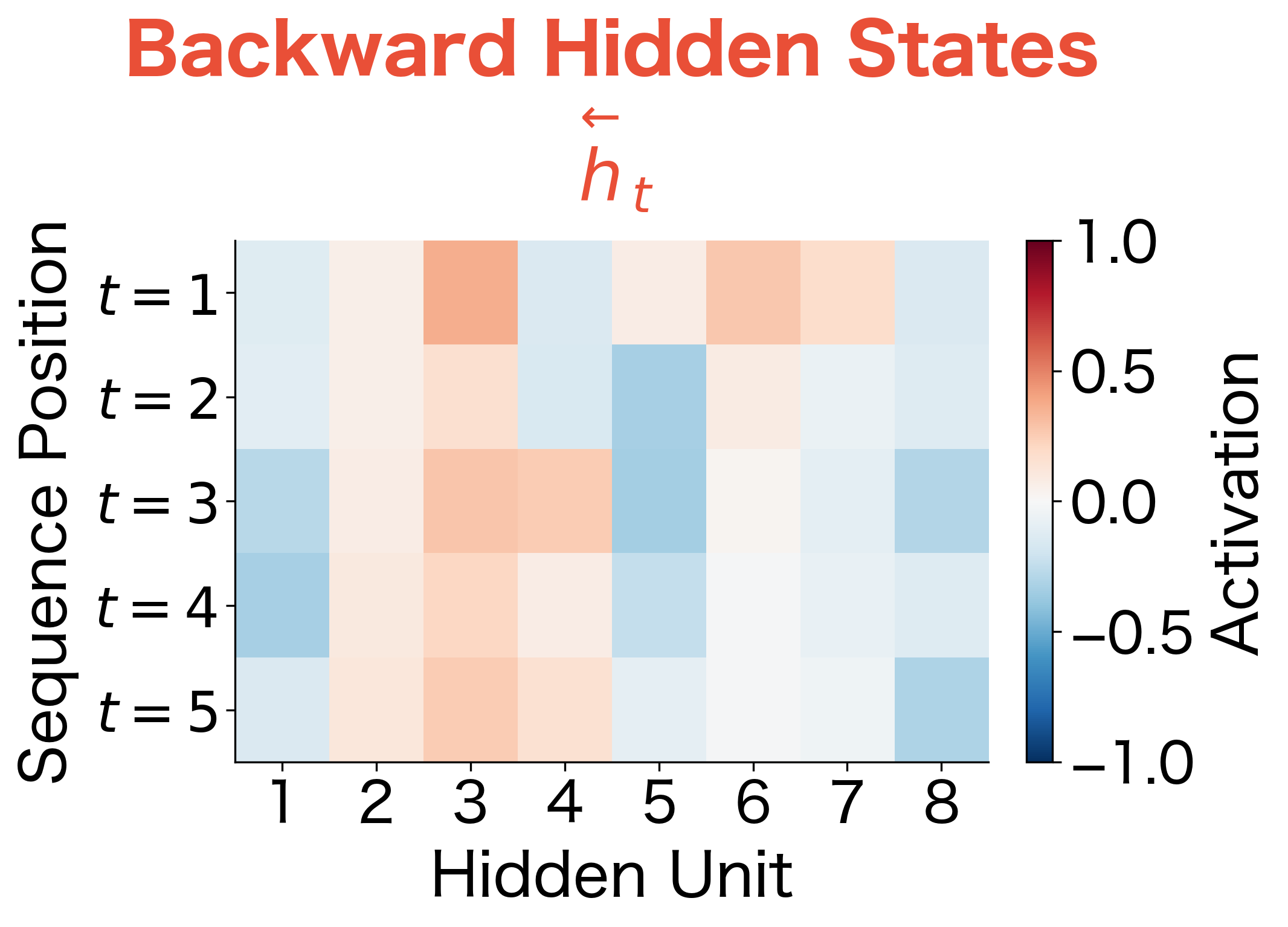 Backward hidden state activations. The backward pass develops different patterns, capturing complementary right-to-left context information.
