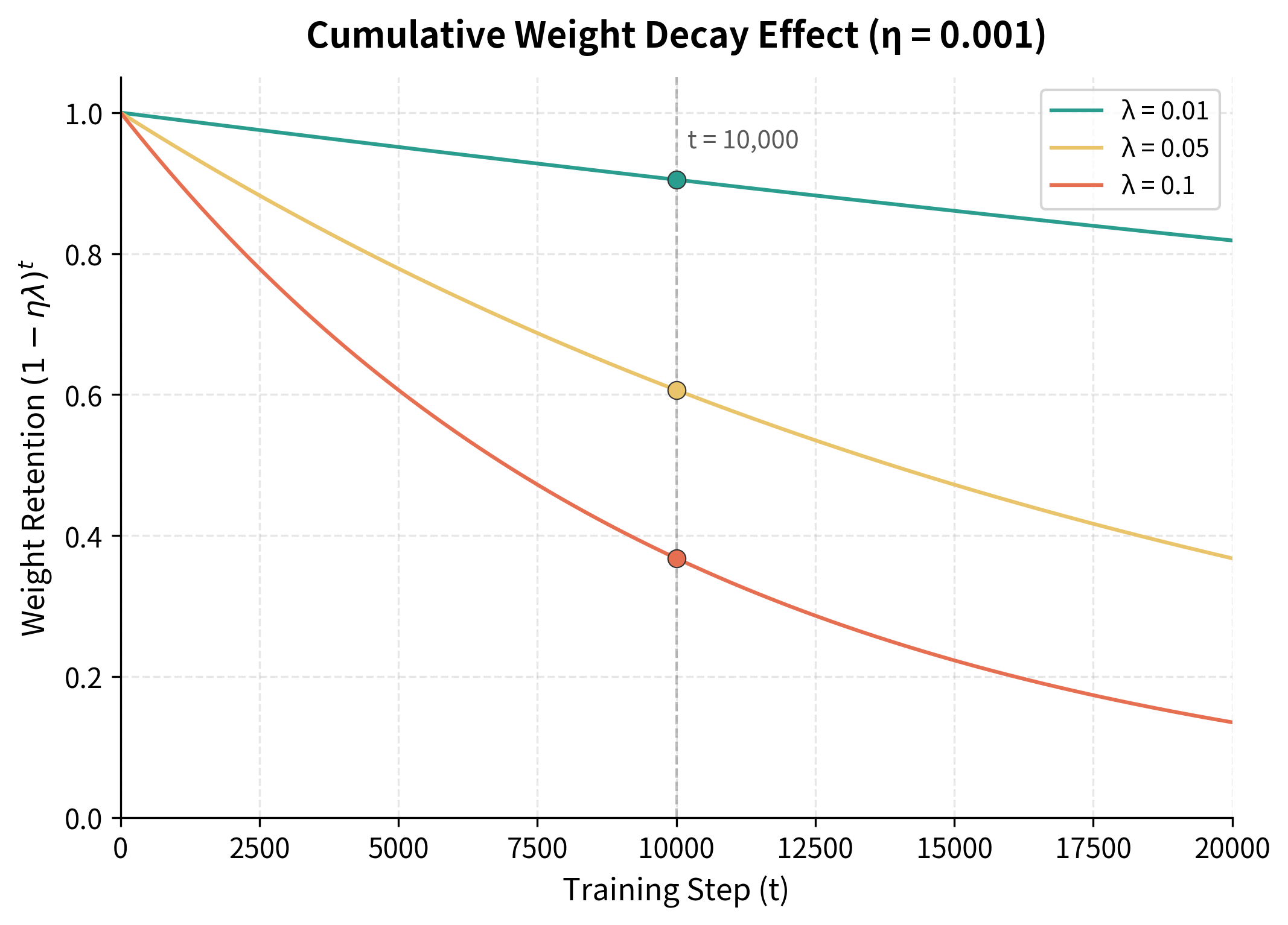 Line plot showing exponential decay curves for different weight decay coefficients over 20000 steps.