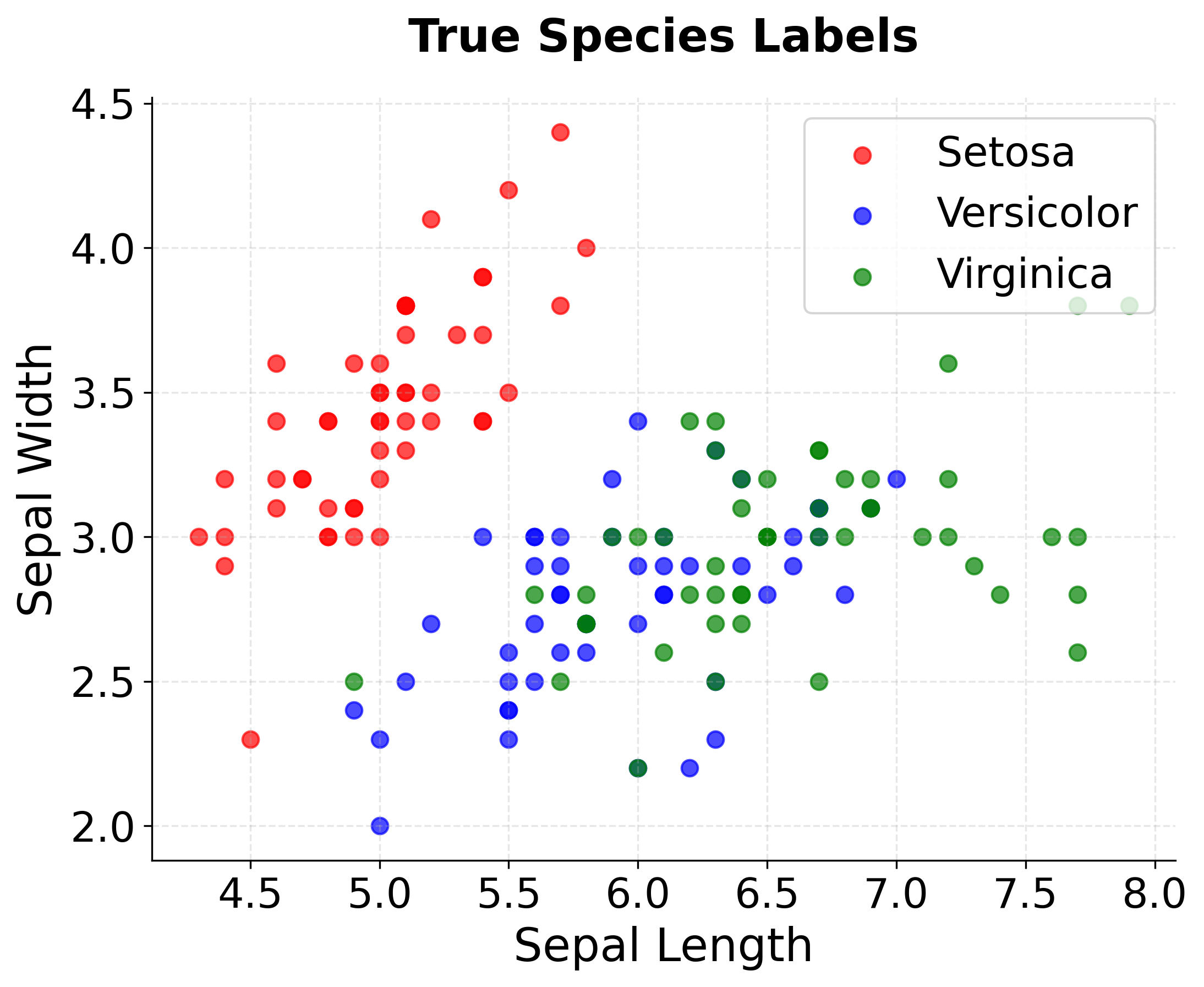 Scatter plot showing true Iris species labels.