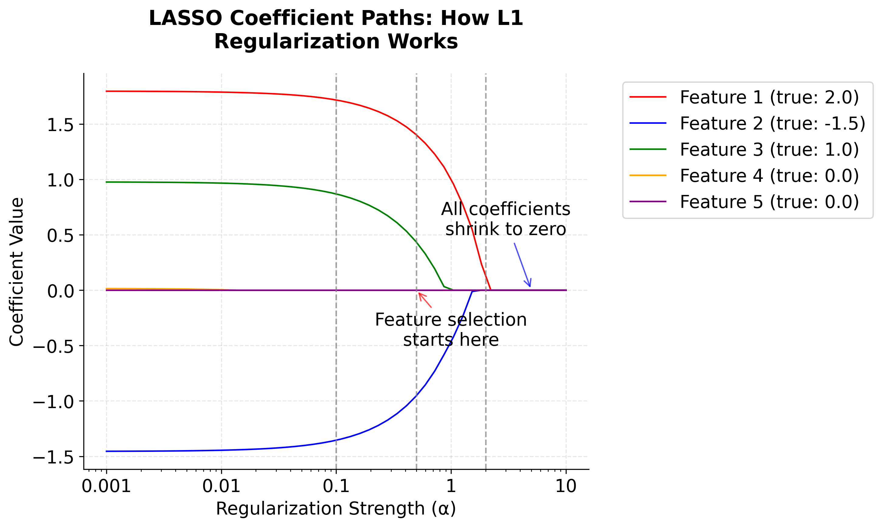 LASSO coefficient paths showing progressive shrinkage of feature coefficients with increasing regularization strength, with important features maintaining non-zero values while irrelevant features reach exactly zero.