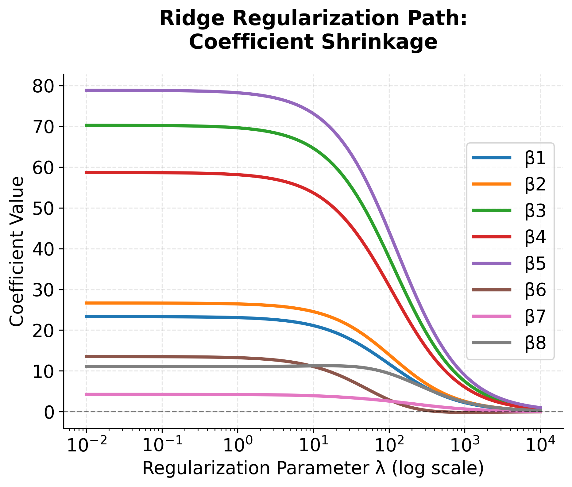 Plot showing how Ridge regression coefficients shrink smoothly with increasing lambda.